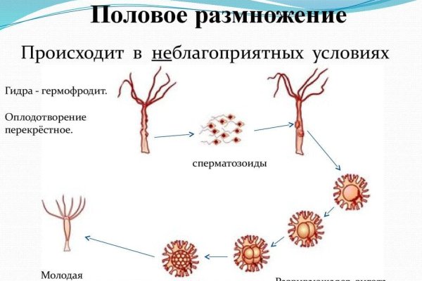 Кракен даркет